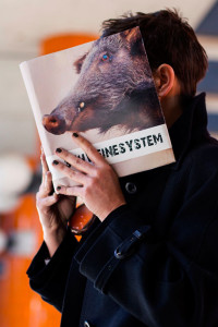 Christine Koschmieder las aus ihren Roman "Schweinesystem" © Sven Klages