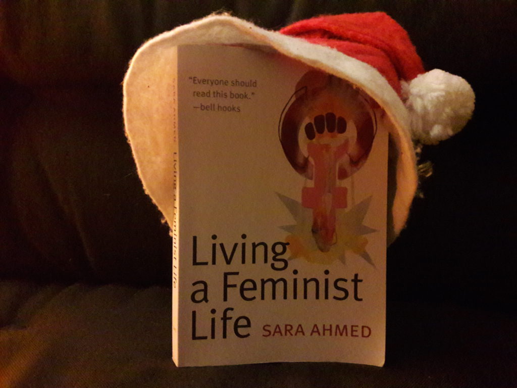 "Living a Feminist Life" von Sara Ahmed © Charlotte Steinbock