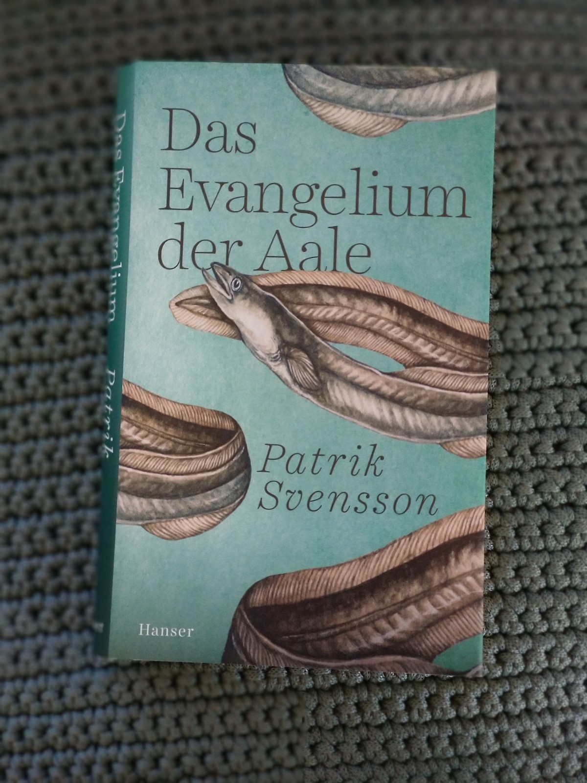 Die Aalfrage ist spannender als so mancher Krimi