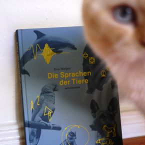Eva Meijer, Die Sprachen der Tiere, Matthes & Seitz 2018 © Angie Martiens