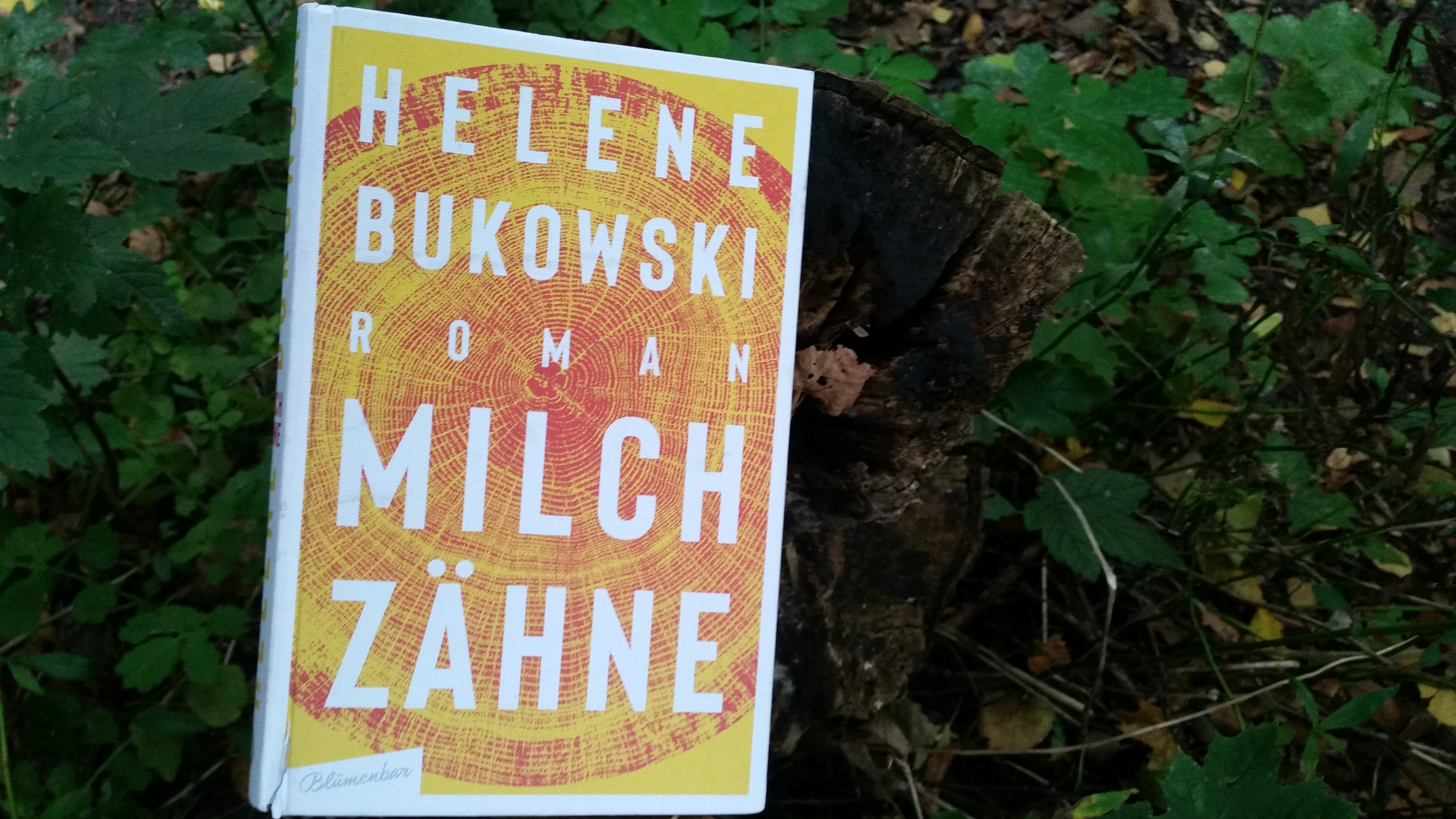 Ein Wald, ein Haus, ein Milchzahn