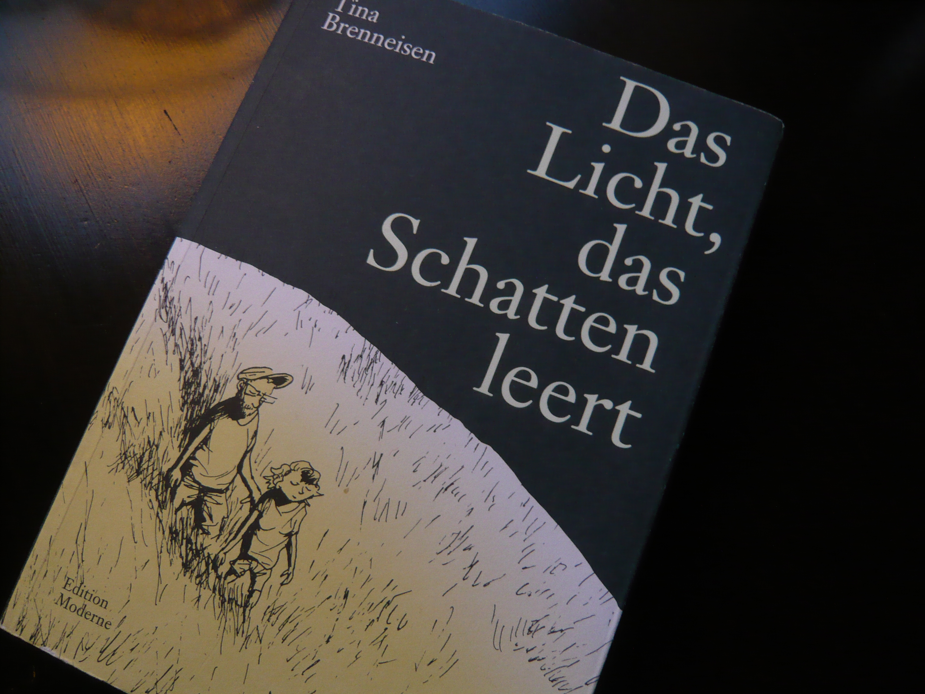 From Panels with Love #30: Das Licht, das Schatten leert