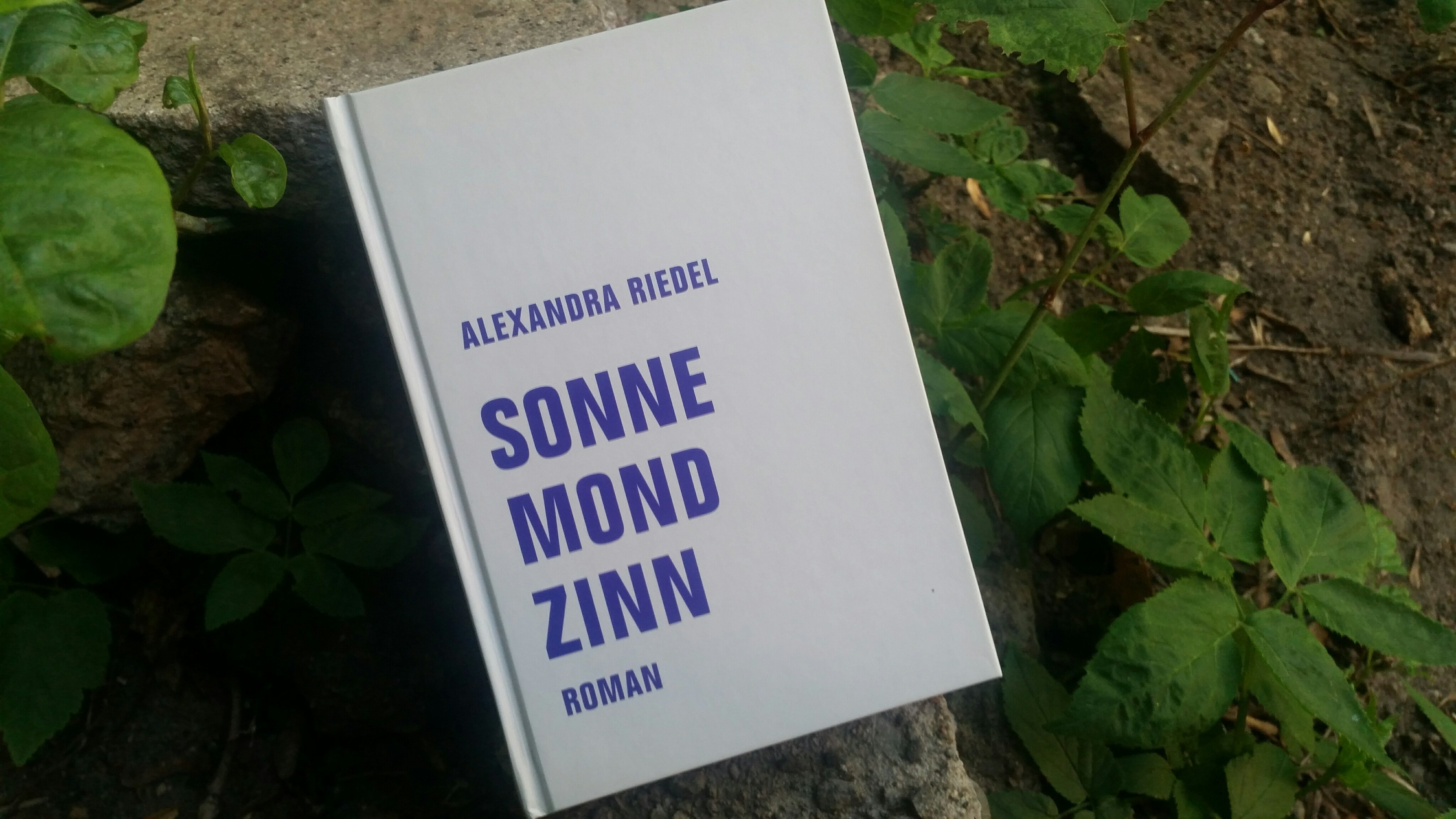 Sonne Mond Zinn
