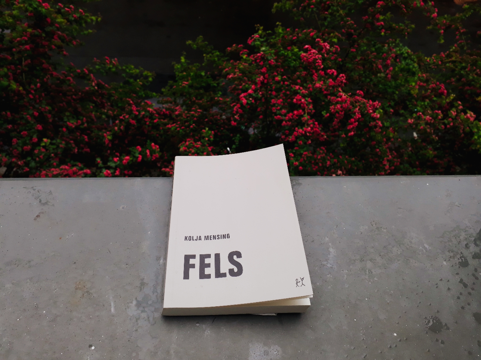 Kolja Mensing – Fels